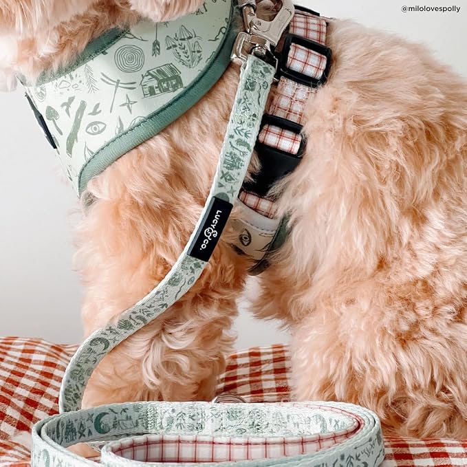 Lucy & Co. Cute Reversible Dog Harness Walking Halter - Image 8