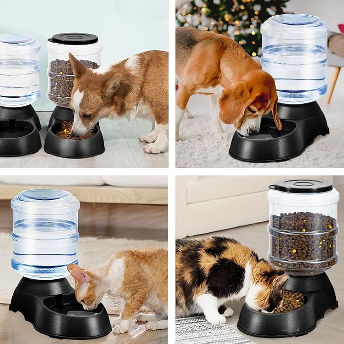 2 Pack Automatic Cat Feeder and Water Dispenser in Set Pet Food Bowl - Image 5