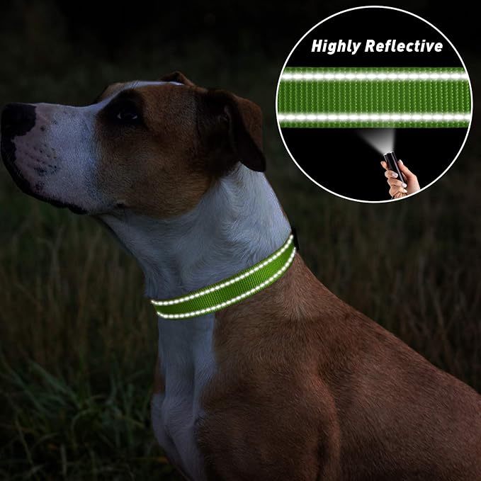 TagME Reflective Nylon Dog Collars, Adjustable Classic Collar - Image 5