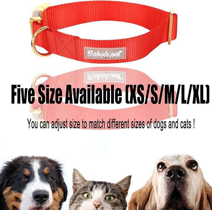 Nylon Dog Collar - Image 8
