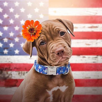Unique style paws Independence Day Dog Collar Metal Buckle Hat Shark Collar - Image 4