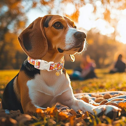 Fall Dog Collar Vintage Daisy Puppy Collar - Image 2
