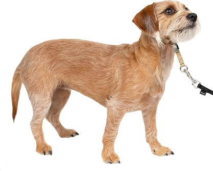 PetSafe Gentle Leader Headcollar No-Pull Dog Collar by PetSafe