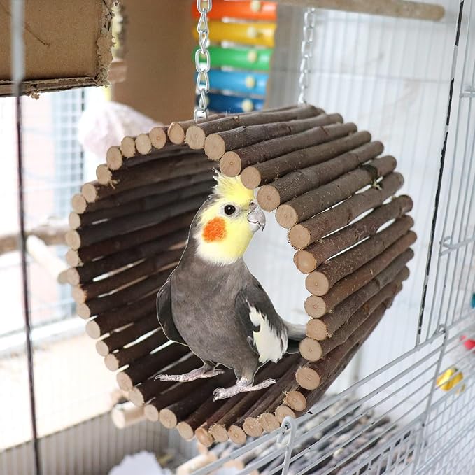 Bird Parrot Swing Toys, Hanging Bird Tree Caves, Natural Apple Wood Parrot - Image 3