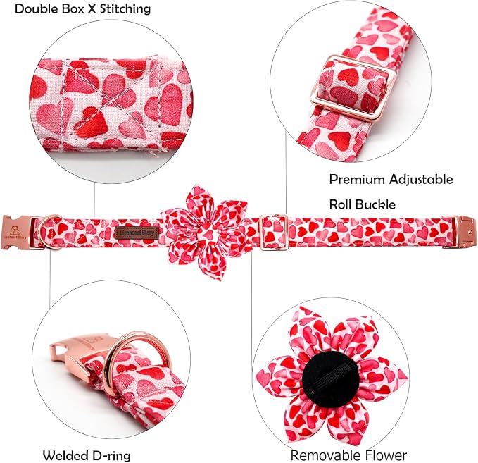 Lionheart glory Valentine's Day Dog Collar - Image 2