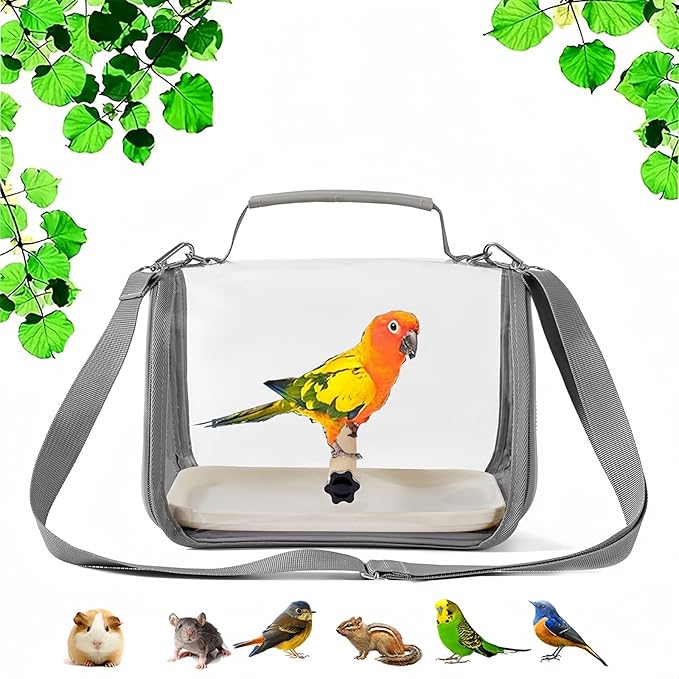 Portable Small Bird Travel Cage Carrier, A Convenient Go Out Solution - Image 5