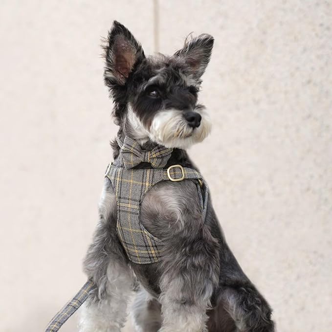 Beirui Cute Small Dog Harness Collar and Leash Set - Image 3
