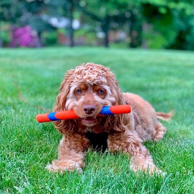Chuckit! Interactive Dog Toy Ultra Fetch Stick - Image 2