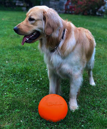 Jolly Pets Bounce-n-Play Dog Toy Ball, 8 Inches/Large - Image 2