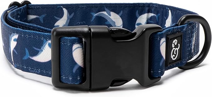 Lucy & Co. Shark Attack Dog Collar by LucyCo
