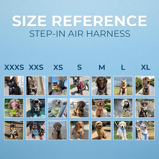 Best Pet Supplies Voyager Step-in Air All Weather Mesh Harness and Reflective - Image 7
