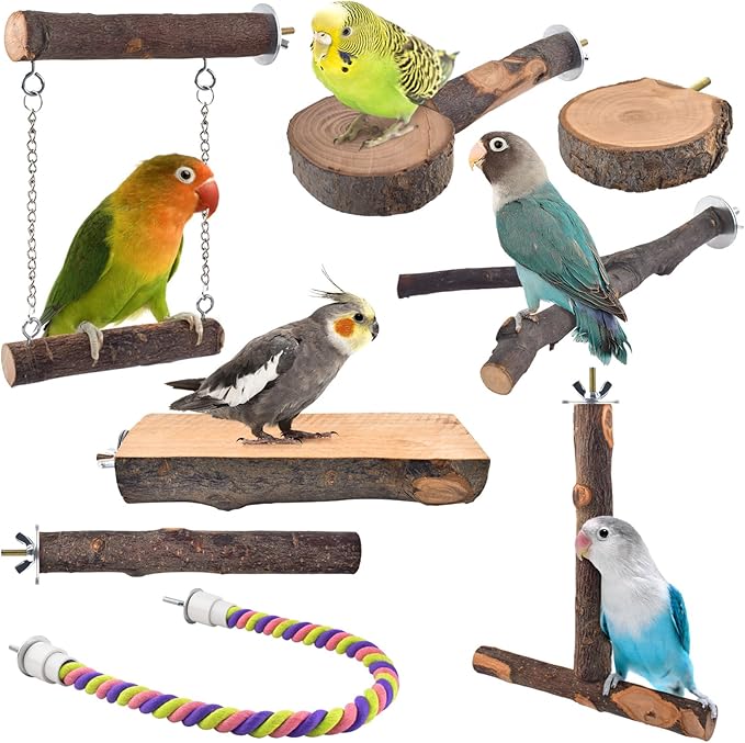 Bird Perches by DBNESS