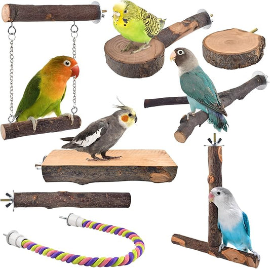 Bird Perches by DBNESS
