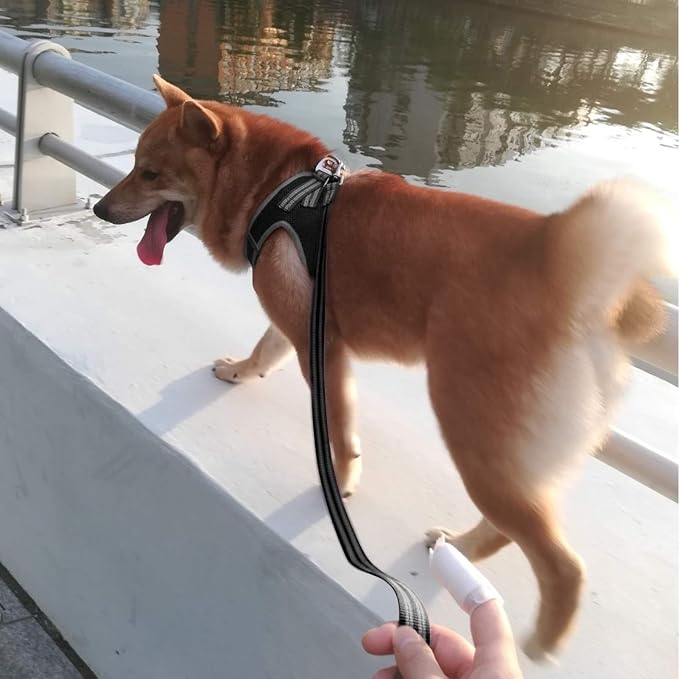 YIMEIS Dog Harness and Leash Set, No Pull Soft Mesh Pet Harness, Reflective - Image 3
