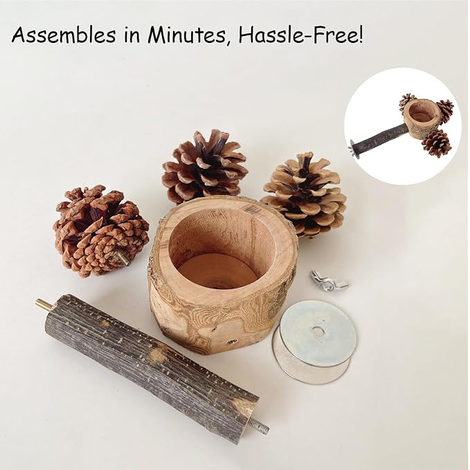 2 Pcs Bird Perch with Safe Bowl Wood & Pinecones - Image 6