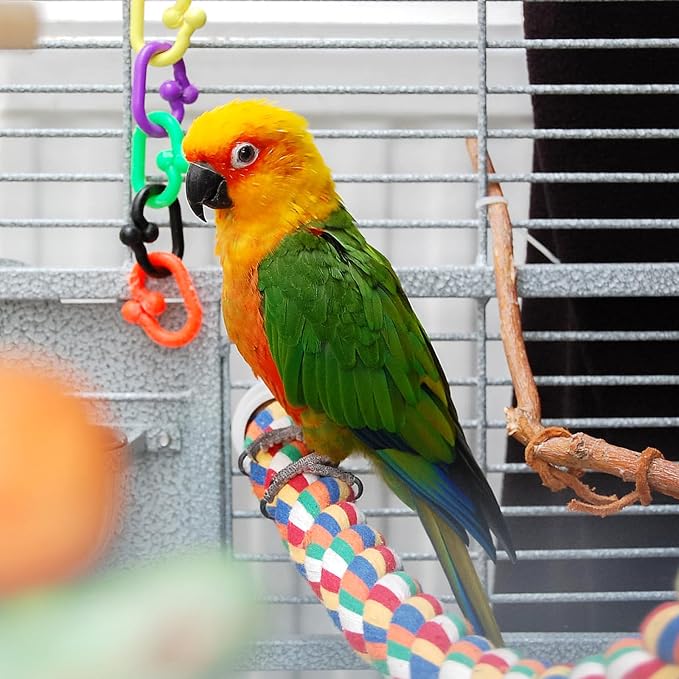 iplusmile Bird Rope Perch Swing & Climbing Toy - Image 7
