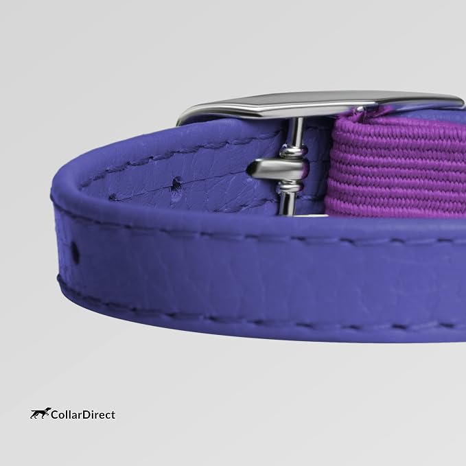 CollarDirect Leather Cat Collar, Kitten Collar - Image 4