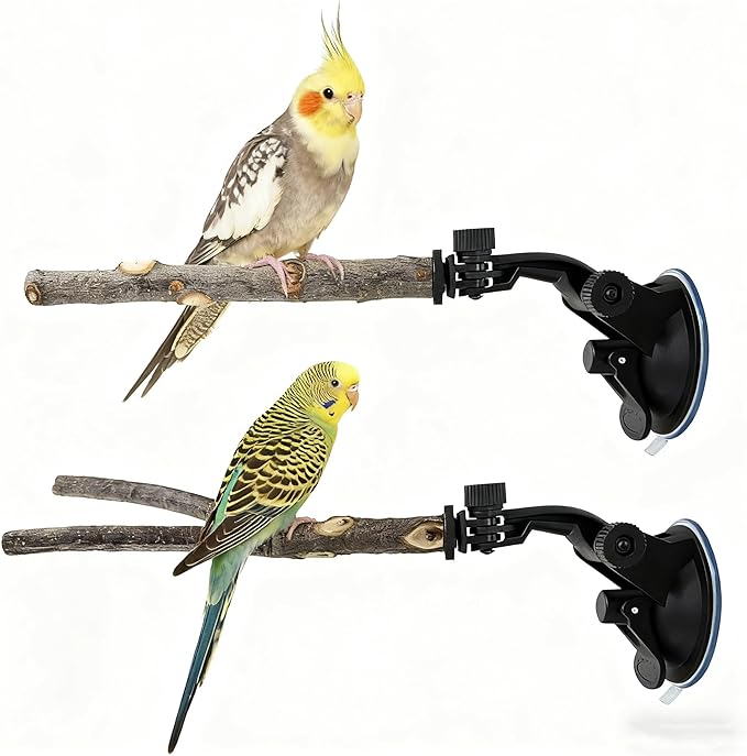 Bird Perch Stand 2 PCS, Parrot Perch Stand - Image 7