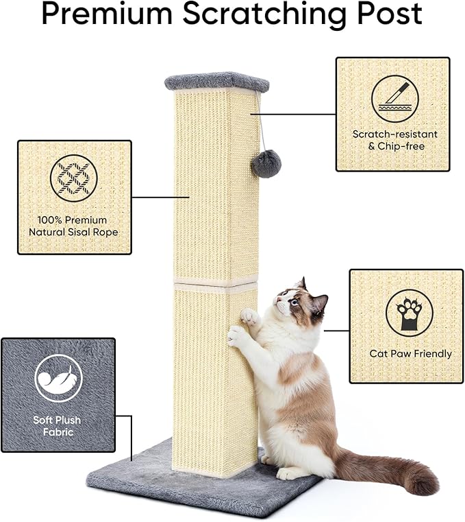 32" Tall Cat Scratching Post for Large Indoor Cats & Kittens, Cat Scratcher - Image 3