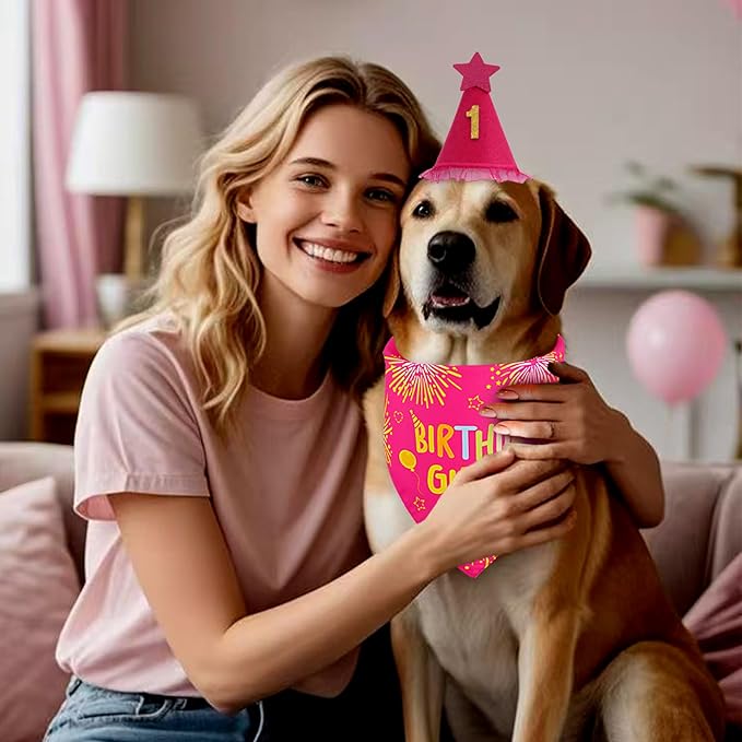 Dog Birthday Party Supplies, Rose Pink Dog Birthday Set - Image 3