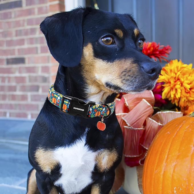 DOGWONG Fall Pumpkin Dog Collar, Fall Maple Leaf Dog Collars Adjustable - Image 5