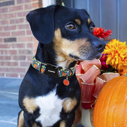 DOGWONG Fall Pumpkin Dog Collar, Fall Maple Leaf Dog Collars Adjustable - Image 5