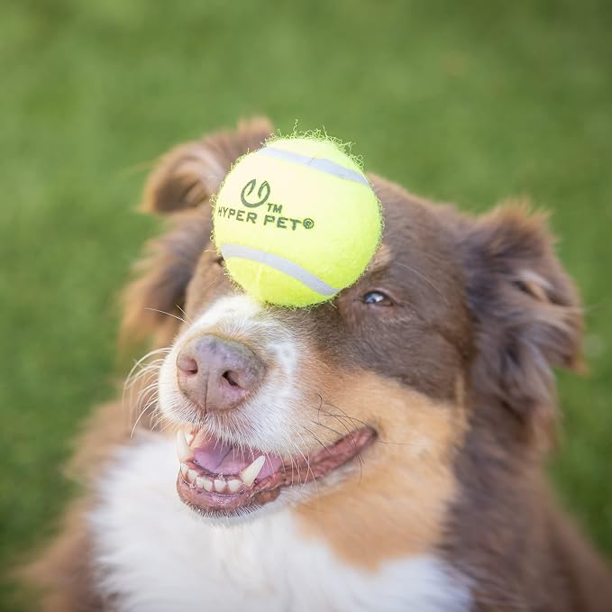 Hyper Pet Tennis Balls for Dogs, Pet Safe Dog Toys for Exercise and Training - Image 8