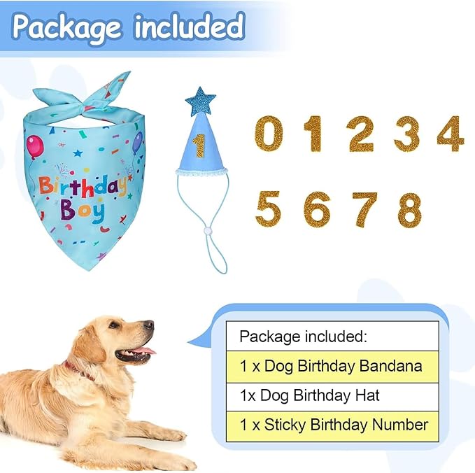 Dog Boy Girl Birthday Party Hat, Dog Birthday Party Supplies, Birthday Bandana - Image 4