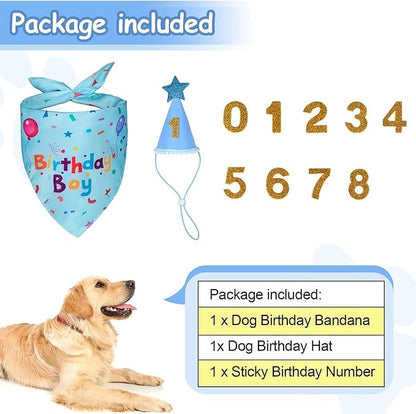 Dog Boy Girl Birthday Party Hat, Dog Birthday Party Supplies, Birthday Bandana - Image 4