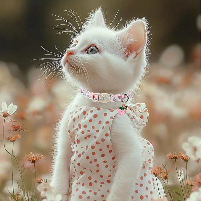 2 Pack Strawberry Cat Collars - Image 6