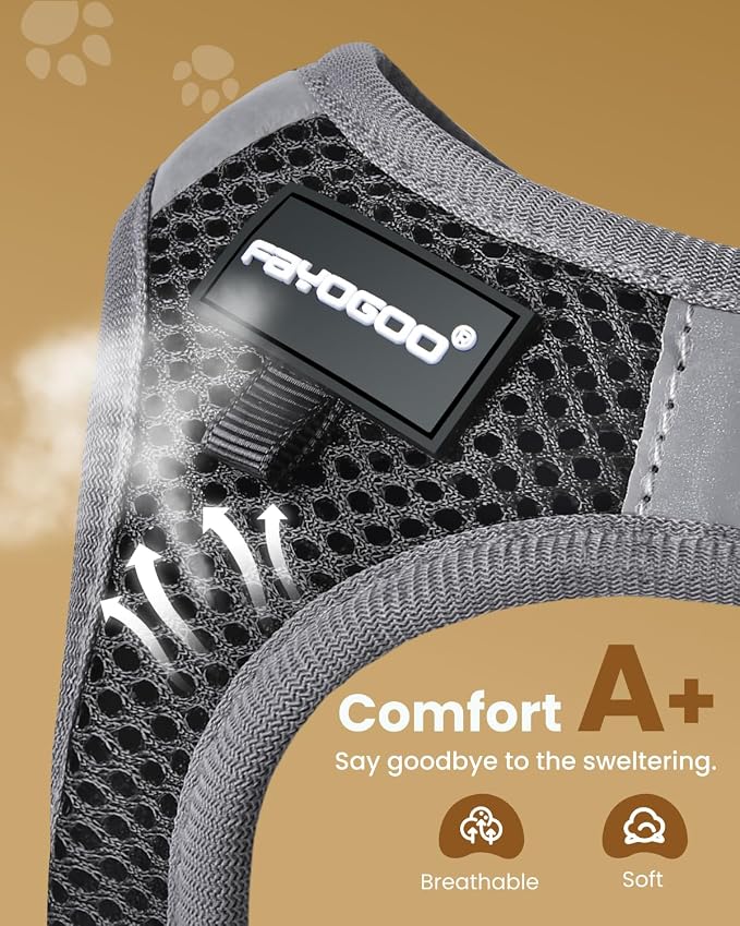 FAYOGOO Cat Harness and Leash Set - Image 2