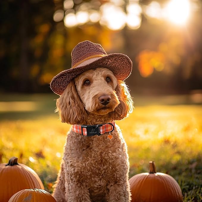 Fall Dog Collar Cute Orange Plaid Puppy Collar - Image 2