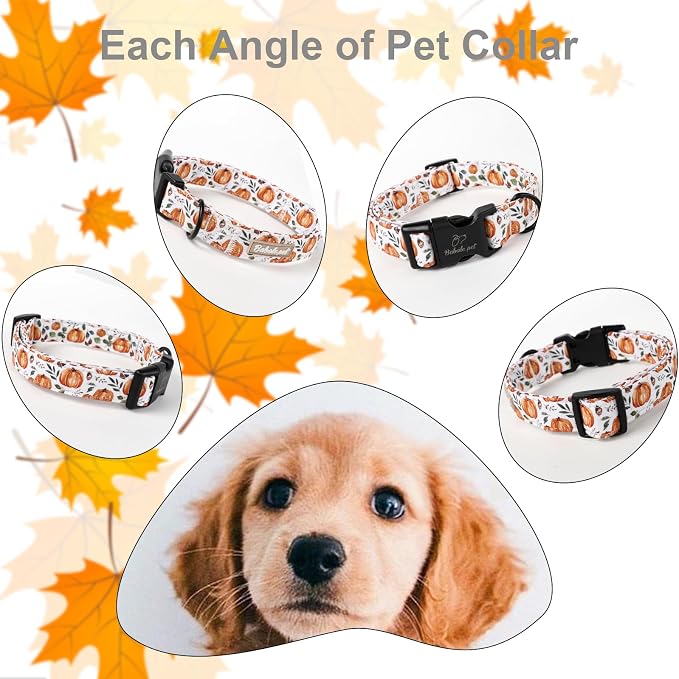 Fall Dog Collar, Cute Orange Pumpkin Pattern Puppy Collar, Soft Comfort - Image 5