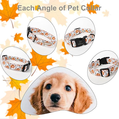 Fall Dog Collar, Cute Orange Pumpkin Pattern Puppy Collar, Soft Comfort - Image 5