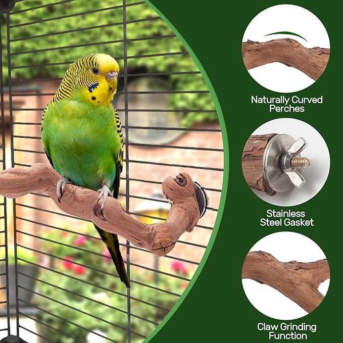 6-Piece Premium Bird Perch Stand - Image 6