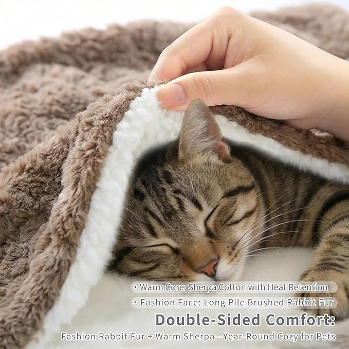 Cat Blanket for Indoor Cats Ultra-Soft Plush Small Blanket Machine Washable - Image 2