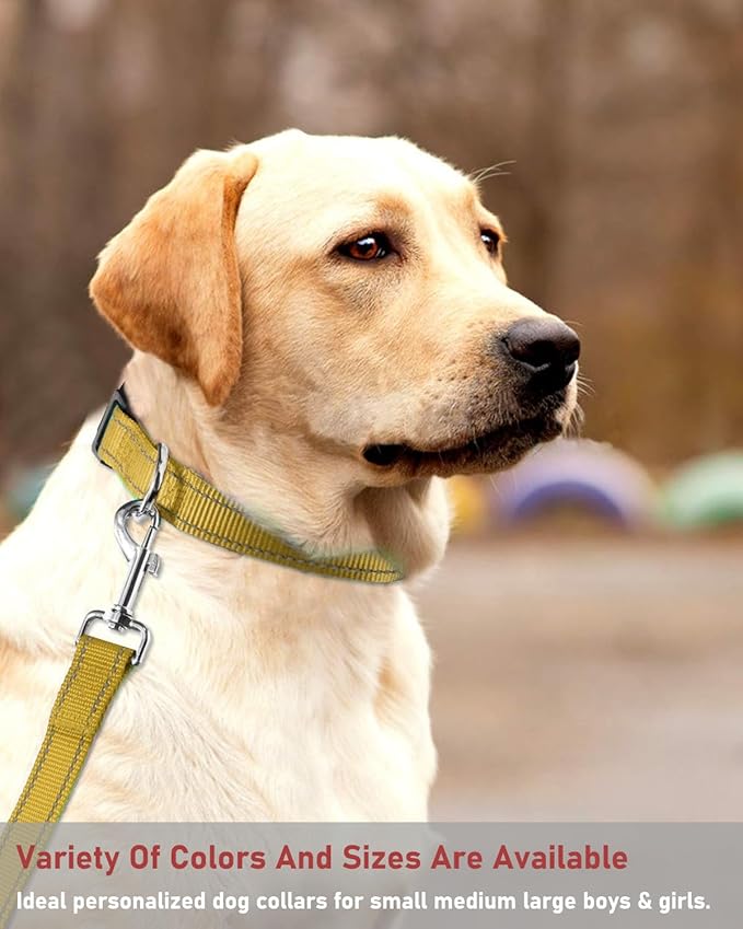 Reflective Dog Collar with Buckle Adjustable Safety Nylon Collars - Image 7