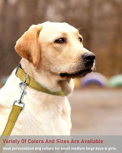 Reflective Dog Collar with Buckle Adjustable Safety Nylon Collars - Image 7