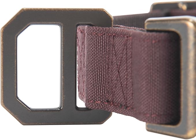 Carhartt Nylon Duck Dog Collar, Fully Adjustable Durable 2-Ply Cordura Nylon - Image 3
