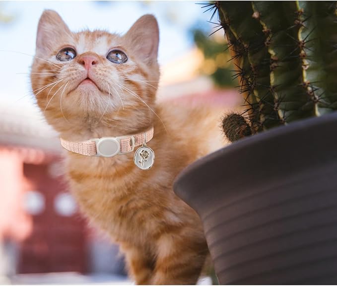 Yizepet Cat Collars, Breakaway Kitten Collar, Cute Kitty Collar, Pet Supplies - Image 8
