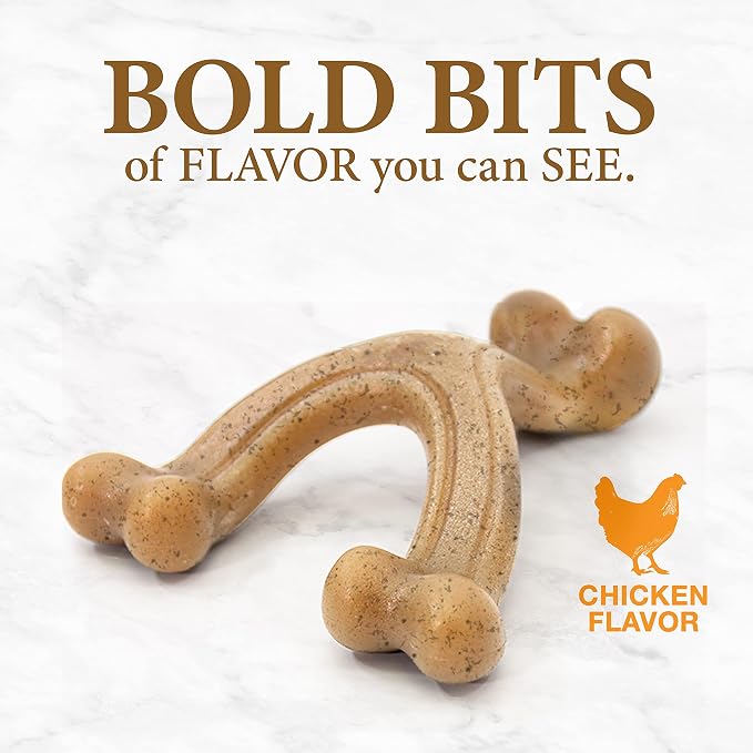Nylabone Gourmet Style Wishbone Strong Chew Toy - Image 6