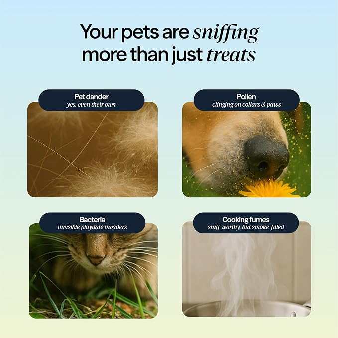 Blueair PetAir Air Purifier for Pets - Image 3
