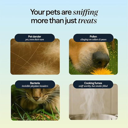 Blueair PetAir Air Purifier for Pets - Image 3