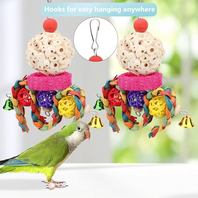 Wontee Bird Toys 3 Pack Parrot Foraging Hanging Toys Sola Ball Natural Nuts - Image 3