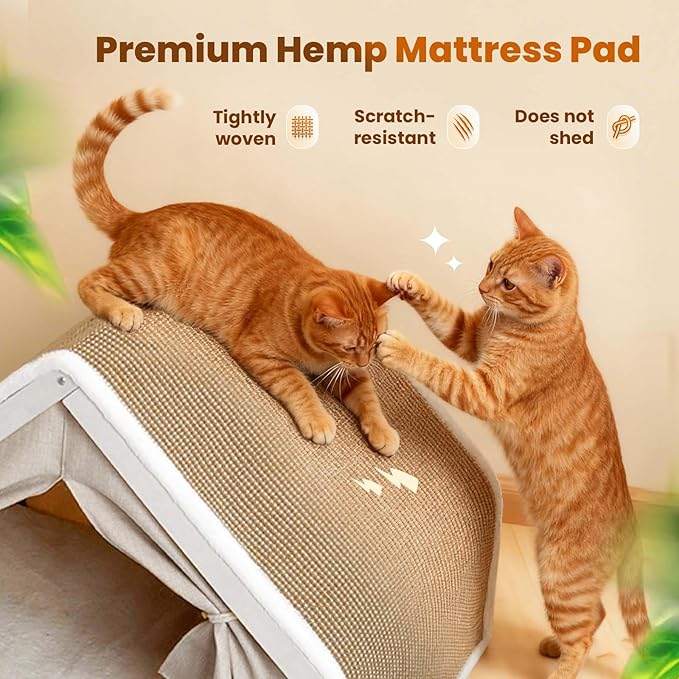 Cat Houses for Indoor Cats - Image 3