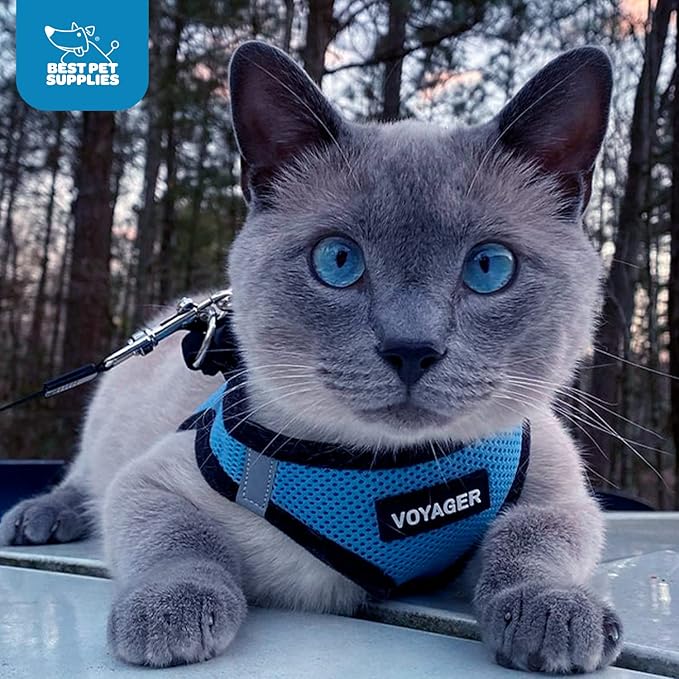 Best Pet Supplies Voyager Step-in Air Harness - Image 11