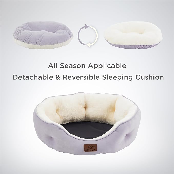Bedsure Dog Beds for Small Dogs - Image 4
