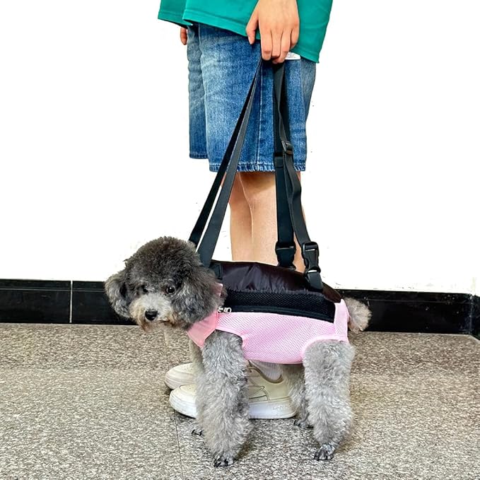 Pet Dog Carrier Backpack, Portable Breathable Mesh Chest Carrier, Polyester - Image 8