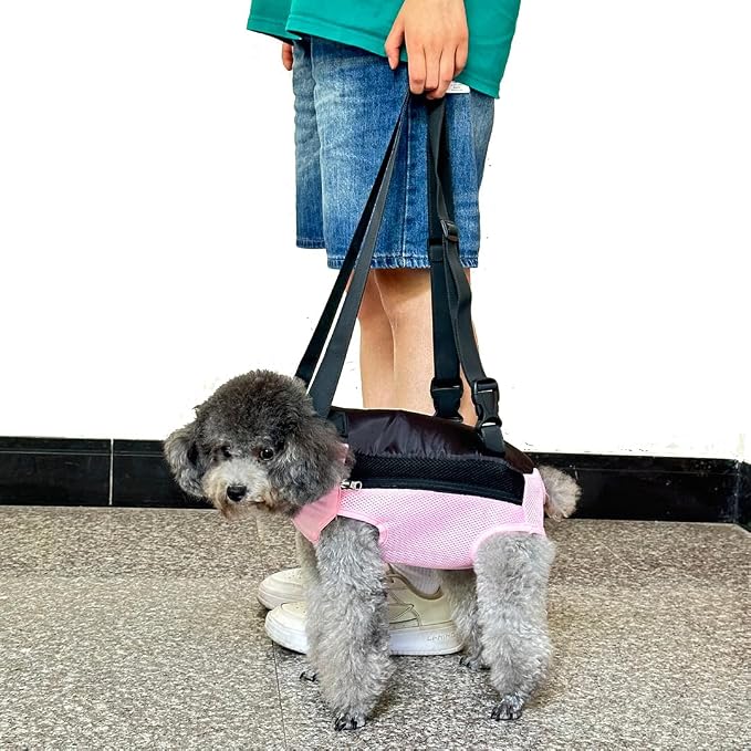 Pet Dog Carrier Backpack, Portable Breathable Mesh Chest Carrier, Polyester - Image 8