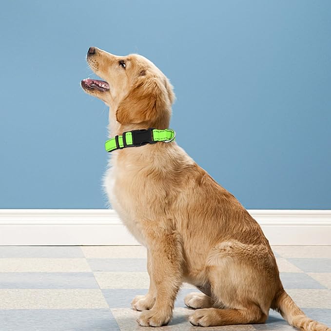 Reflective Dog Collar, Adjustable Soft Neoprene Padded Nylon Pet Collars - Image 2